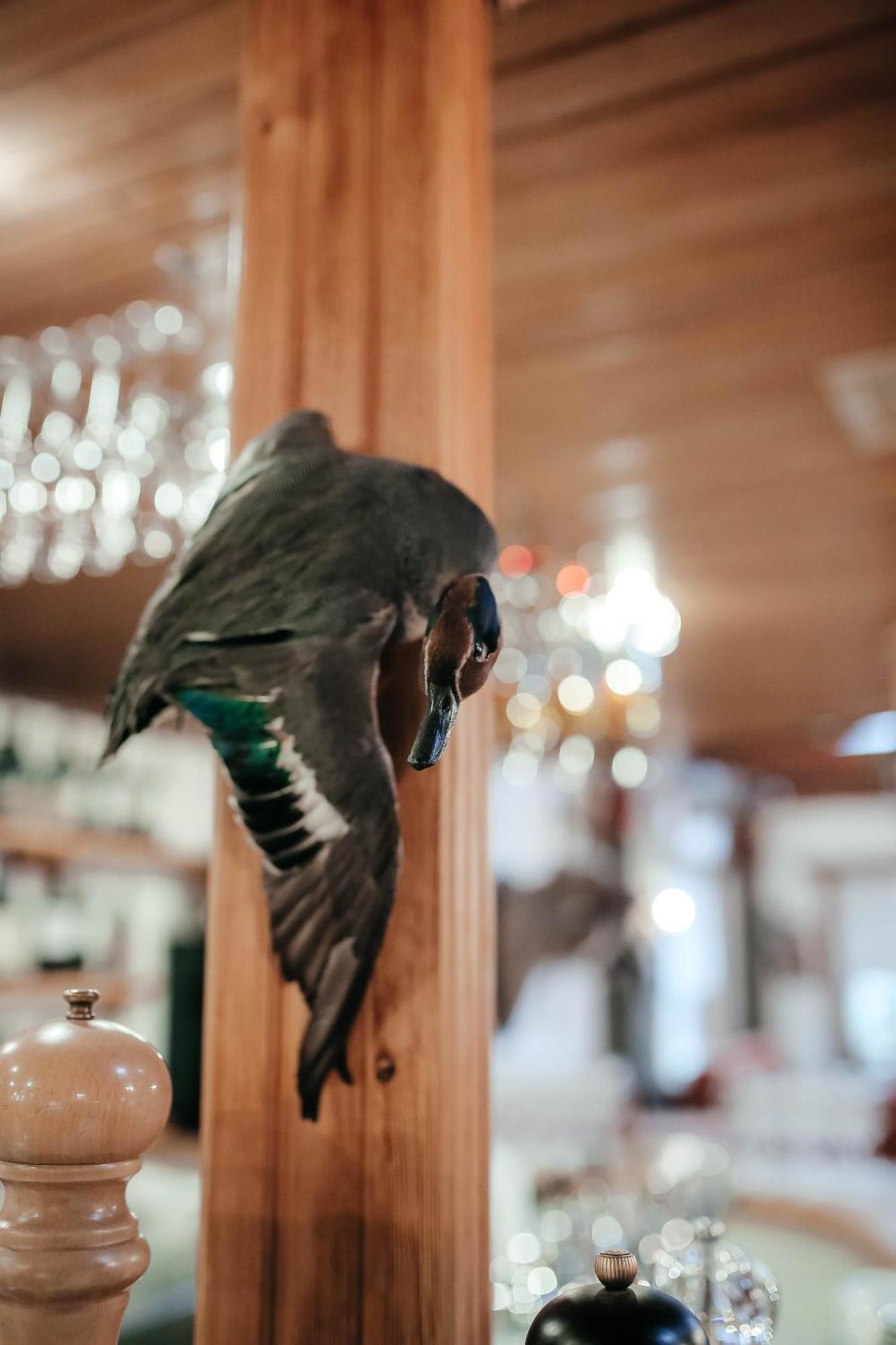 Тау-House Hotel Kok-Shoky Bagian luar foto