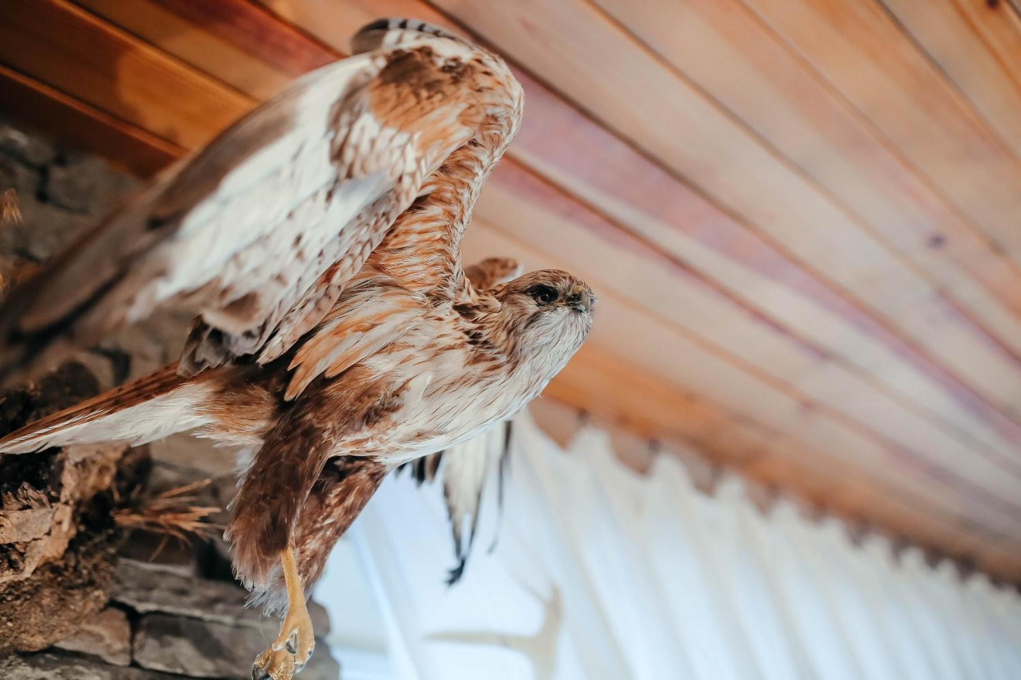 Тау-House Hotel Kok-Shoky Bagian luar foto